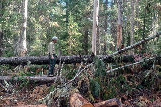 Report reveals Forest Service suffering from staffing cuts, trails at lowest maintenance levels in 15 years
