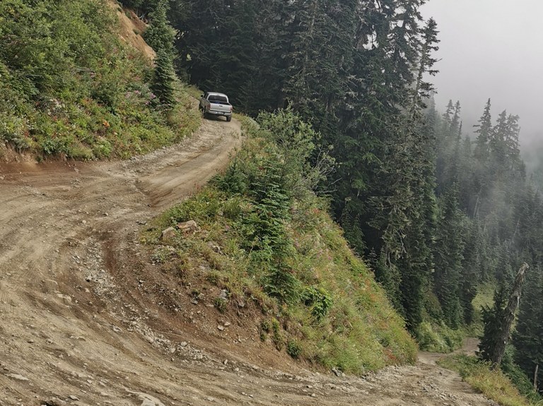 A rough forest road on the way to the trailhead of Winchester Mountain. Photo by trip reporter Paris Doll.