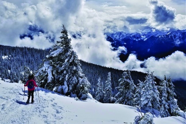 Rob Portinga.jpeg Rob Portinga.jpeg