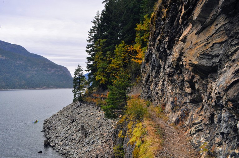Fall colors on a cliffside section of the East Bank Ross Lake trail. Photo by SeanoftheWild.