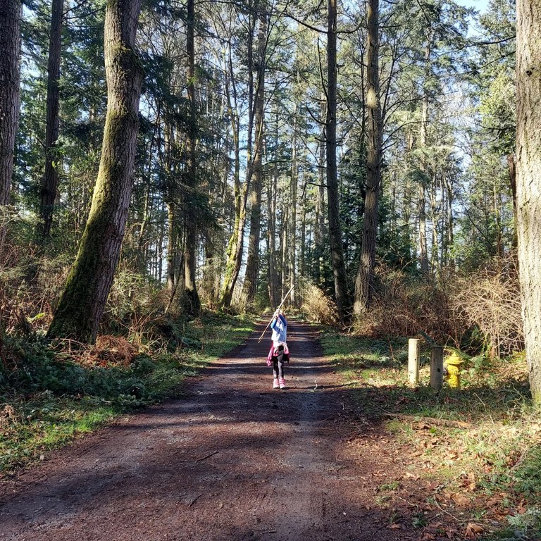 A kid hikes on a wide trail carrying a long stick. 