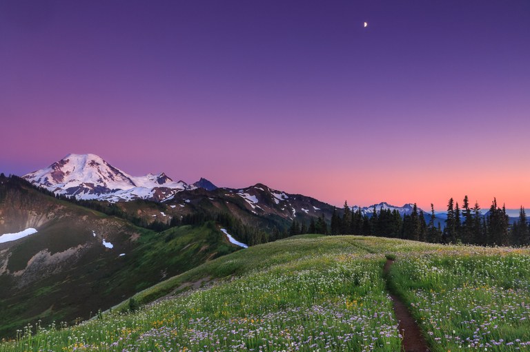 Purple and pink sunset behind a meadow with a trail winding through it. 
