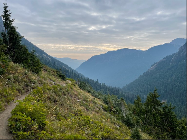 Smoky views on the Olympic Peninsula. Photo by trip reporter Beeline. Smoky views on the Marmot Pass trail on the Olympic Peninsula. Photo by trip reporter Beeline.