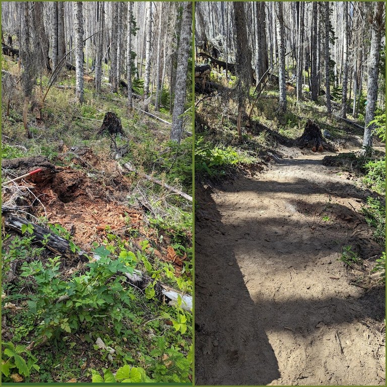 A before and after photo show a trail being built. 