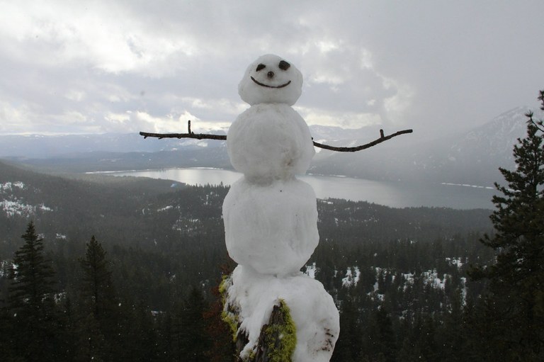 Build your own holiday company... in the form of snowpeople.