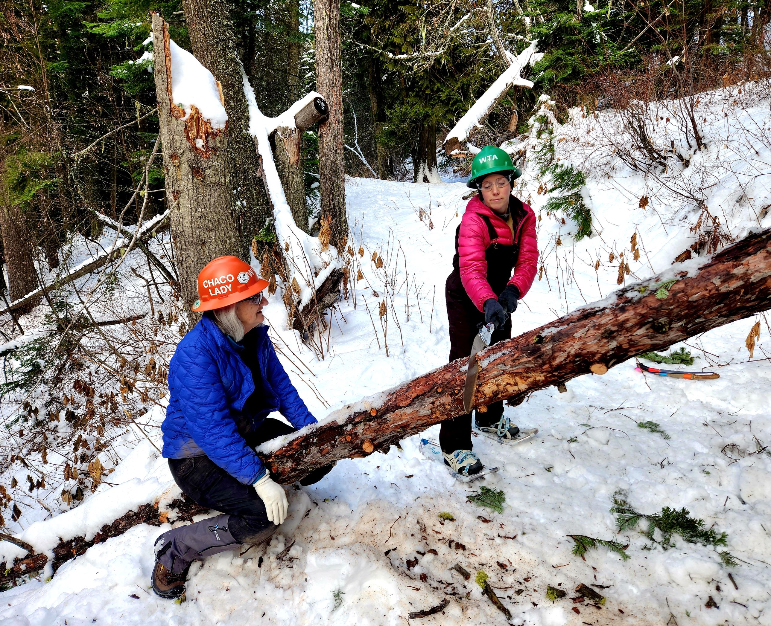 A green hat volunteer saws through a blowdown log on the trail while an orange hat assistant crew leader (ACL) sits on the log. Photo by Holly Weiler.