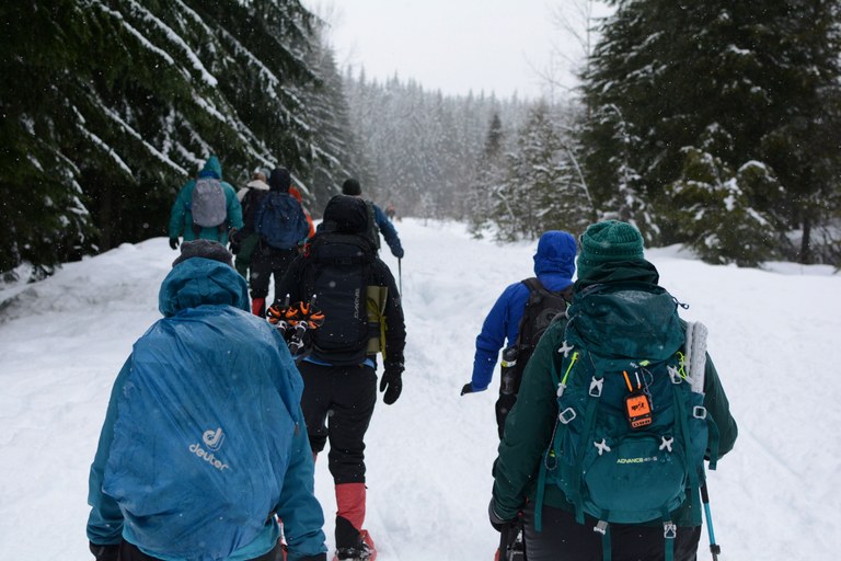 Snowshoeing with Washington State Parks! Photo by Charlie Wakenshaw. The back of several snowshoers on a snowy day. Photo by Charlie Wakenshaw.