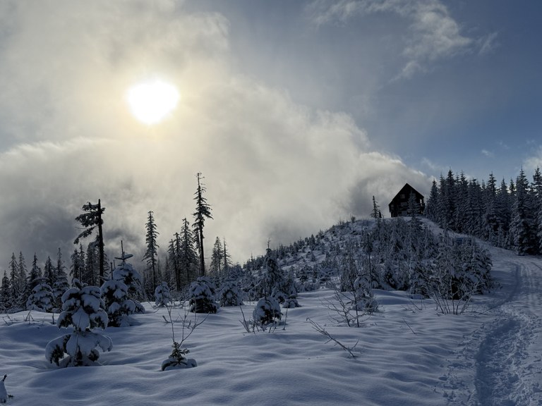 Snowy day! Photo by cristina. Snowy trail at Bruni's Snow Bowl Hut. Photo by trip reporter cristina.