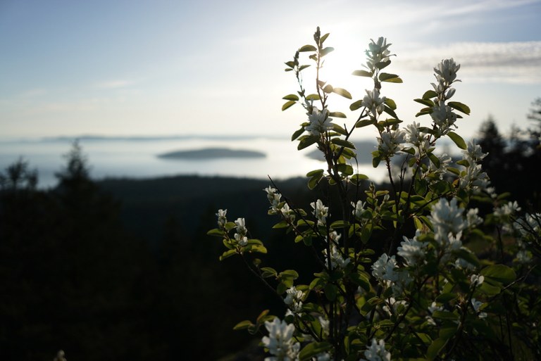 Sugarload by Marit Jensen.jpg Sugarload by Marit Jensen.jpg