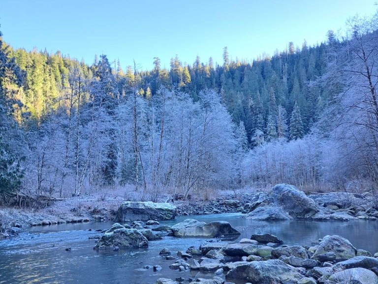 Snowy trees and rocks on a cold river with blue skies on the Sultan River Canyon Trail. Photo by trip reporter JennaRae.