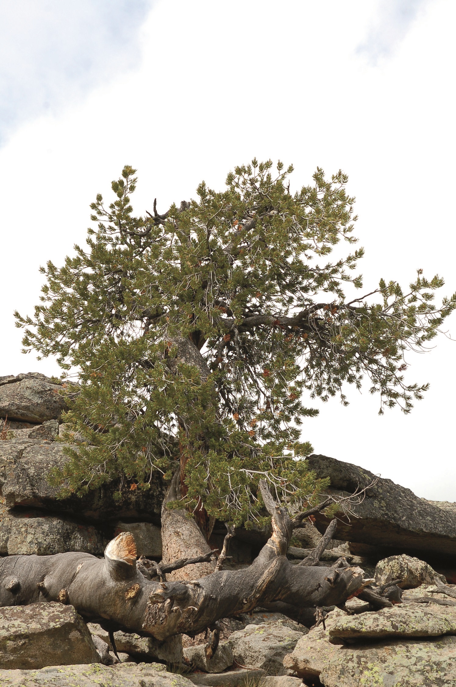 Summer 2013-09-18_10-50-36.JPG