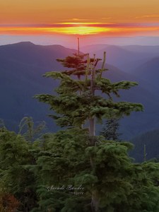 Sunset on Lookout Mountain with nameplate.jpg