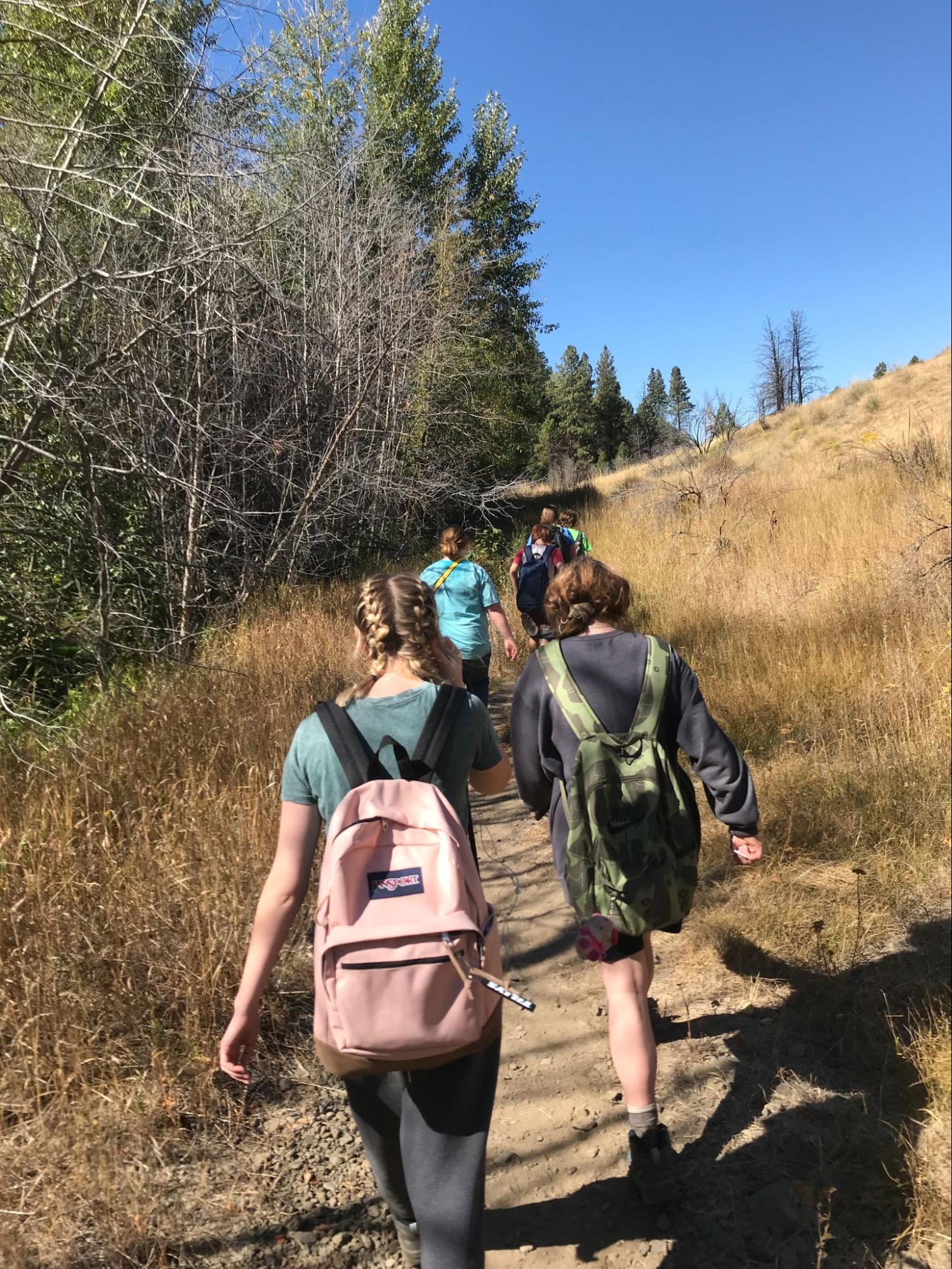 Line of students hike through dry grasses on a sunny day