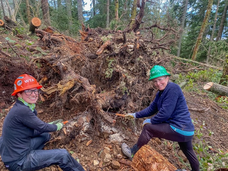 working on the East Side trail Two people work on removing a root ball on the East Side trail