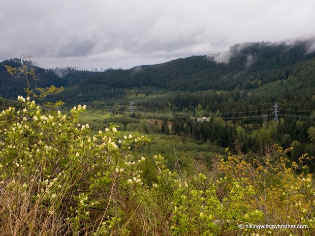 With your help, Taylor Mountain will have an extensive system of trails; good for exploring even more of the Issaquah Alps. Photo by hikingwithmybrother.