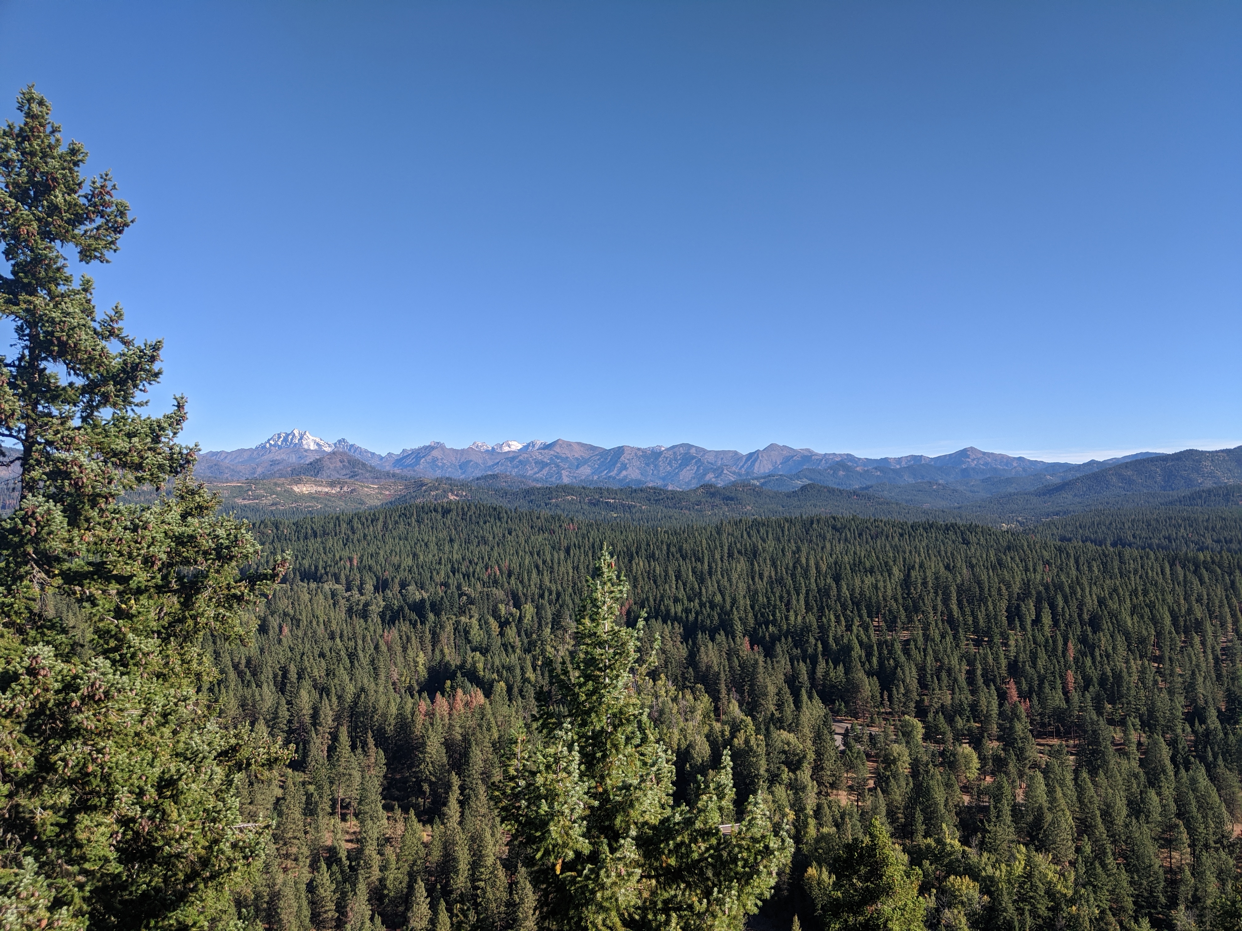 Teanaway Community Forest vista by Owen Vogeli