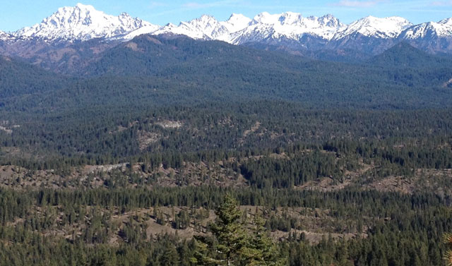 The property overlooks the Teanaway Community Forest and the Cascades. Photo by Andrea Imler.