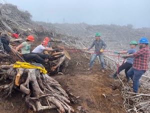 Seven people in green, orange and blue hard hats work together to remove a stump from a freshly built trail on a cloudy day. 