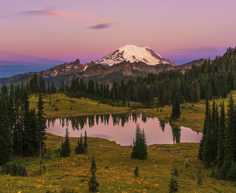 View of Mount Rainier from Tipsoo Lake trail near Chinook Pass by Svitlana Imnadze