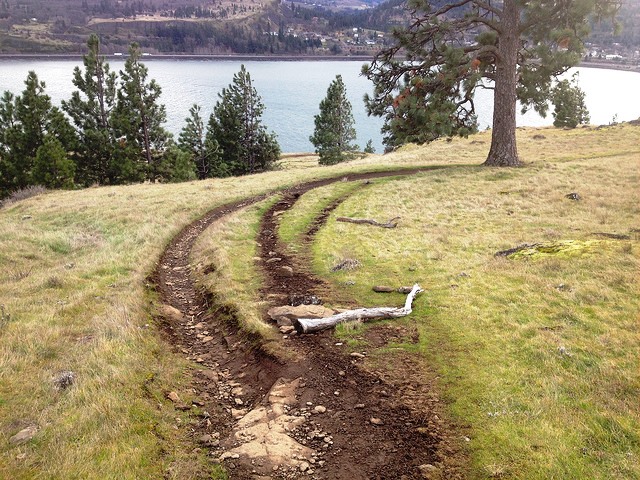 trail braiding on coyote wall by wta.jpg