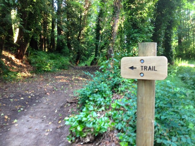 A sign that reads "trail." From WTA Archive. 