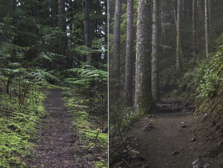A side-by-side image shows two trails winding through lush, green forest. 