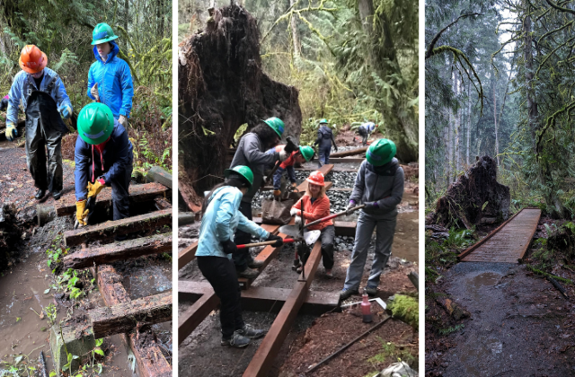 a collage of work being done on a puncheon at Flowing Lake Regional Park