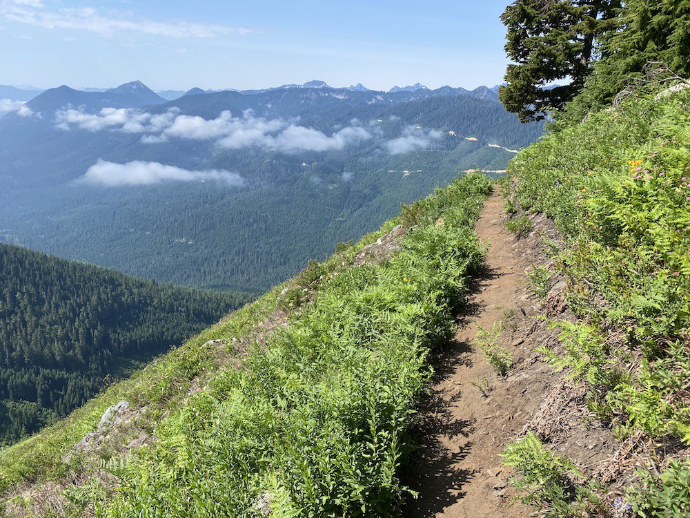 Upper section of trail on the Frog Mountain Trail offers stunning views. Photo by OutdoorAl