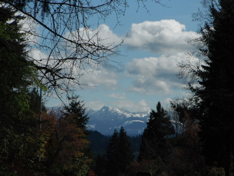 Views Close to Home. Photo by Ups n Downs.