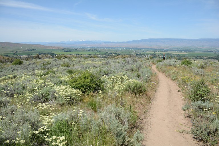 views-from-Manastash.jpg