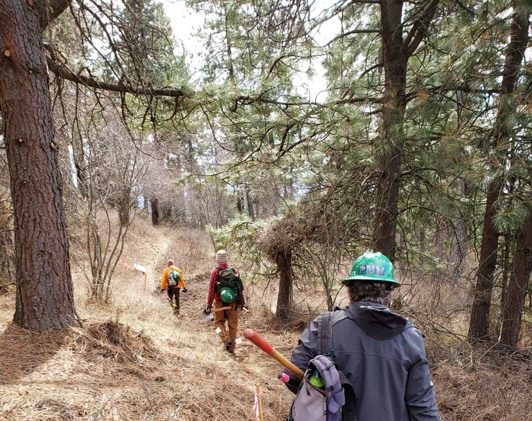 Three trail work volunteers walk along a trail to the worksite. 