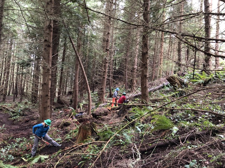 volunteers beginning to brush before building trail at Striped Peak. Photo by Martin Knowles