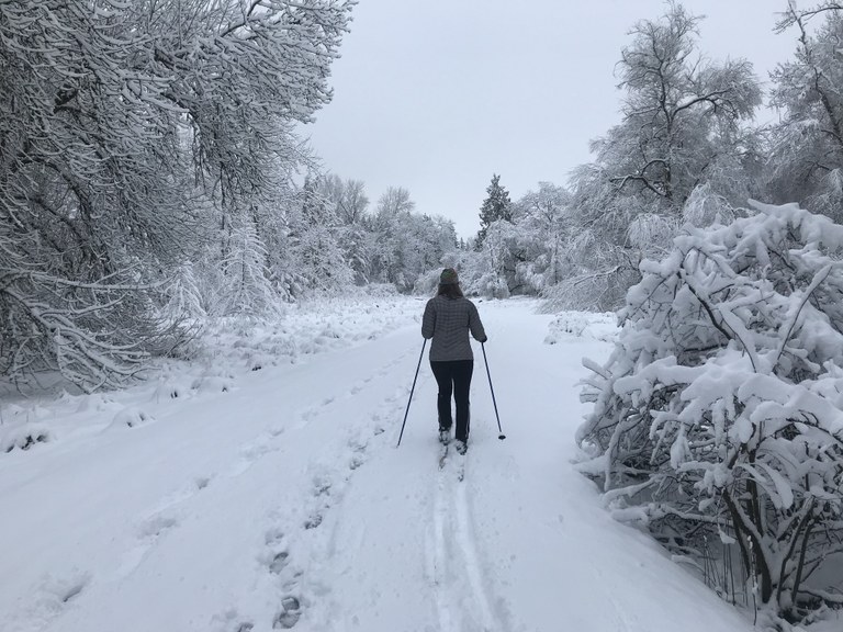 Washington Park Arboretum.jpeg