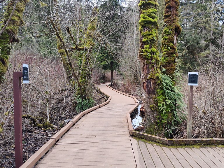The boardwalks at West Hylebos Wetlands with signage. Photo by trip reporter Crazy4Birds.