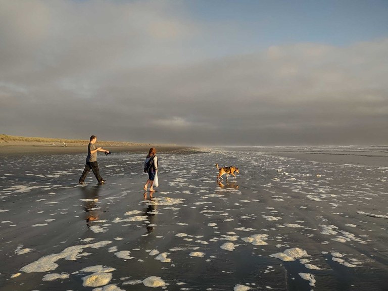 A child and adult walk on the beach with incoming water from the ocean, alongside a dog. 