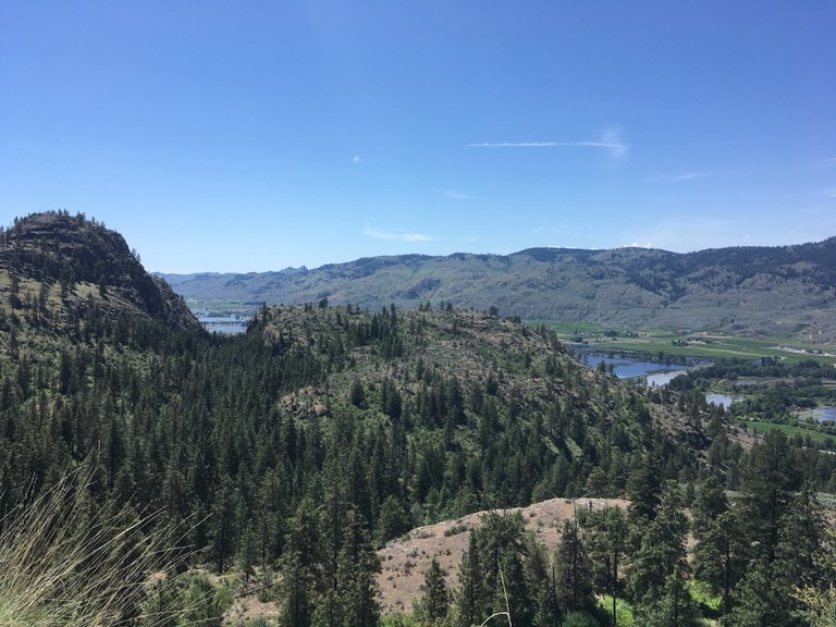 Whistler Canyon Trail by jenanddog.jpeg Whistler Canyon Trail by jenanddog.jpeg