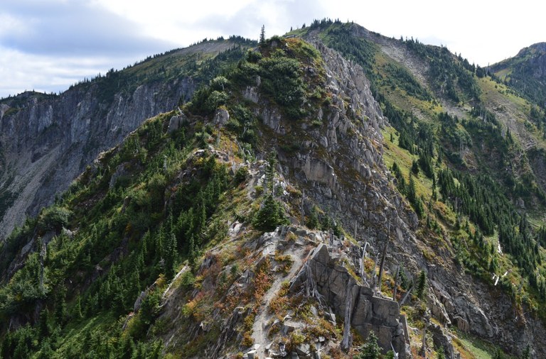 Whittier Ridge near Mount St. Helens. Photo by trip reporter sonnyrae The thin, dicey Whittier Ridge trail weaves through rocky ledges and undergrowth