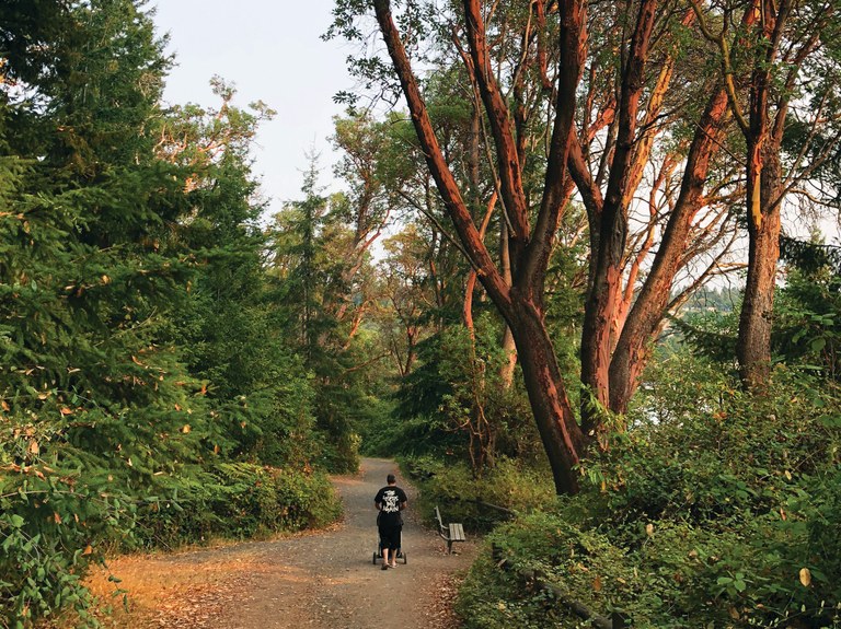 wilkie_Lincoln park.jpg