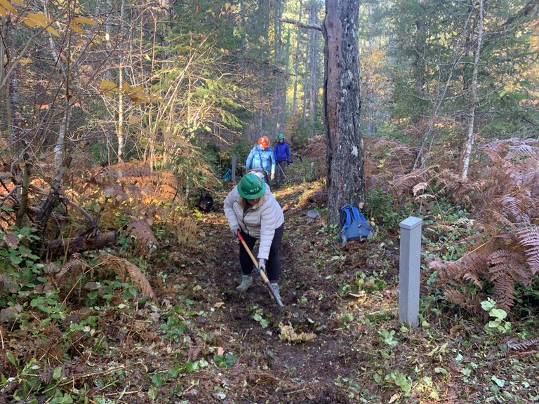Trail work at Wind River Arboretum. Photo by Stasia Honnold. WTA workers perform trail maintenance in an area with heavy vegetation.