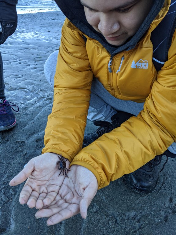 Y.E.T.I. Beach trip A kid holds a small crab on a beach.