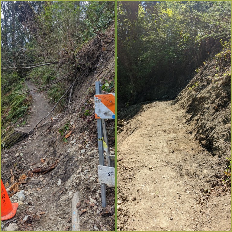 Photo by Zachary Toliver Before and after of trail