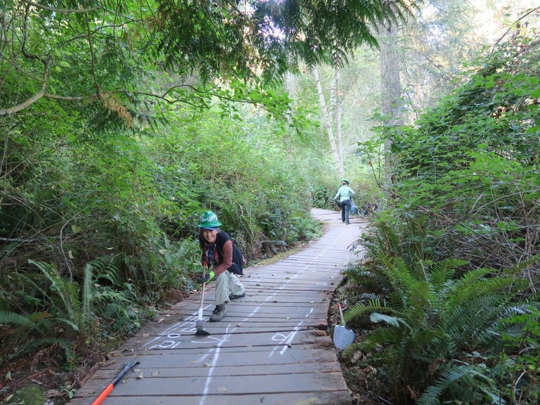 deception pass boardwalk project_linda roe.jpeg