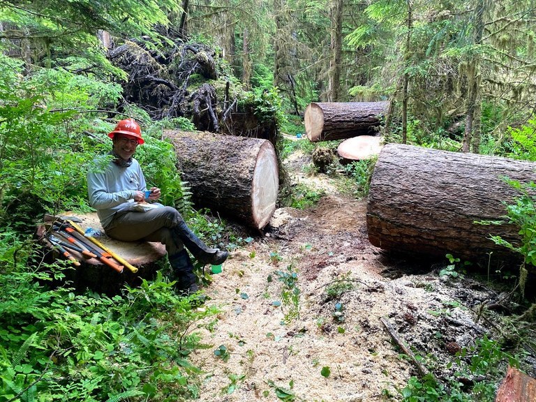 Volunteer sitting next to recently cut logs on the Bogachiel. 
