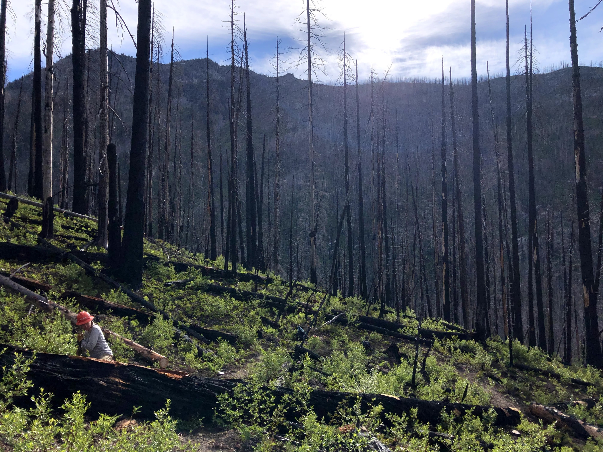 Lost Trails Found crew works in a burn on the Cow Creek Trail in 2021. Photo by Ginevra Moore Lost Trails Found crew works in a burn on the Cow Creek Trail in 2021. Photo by Ginevra Moore