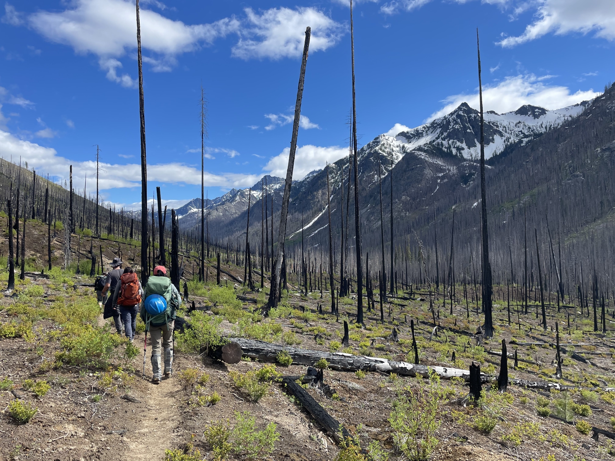 Entiat River trail crew hiking through a burn. Photo by Jess Dupuy Entiat River trail crew hiking through a burn. Photo by Jess Dupuy