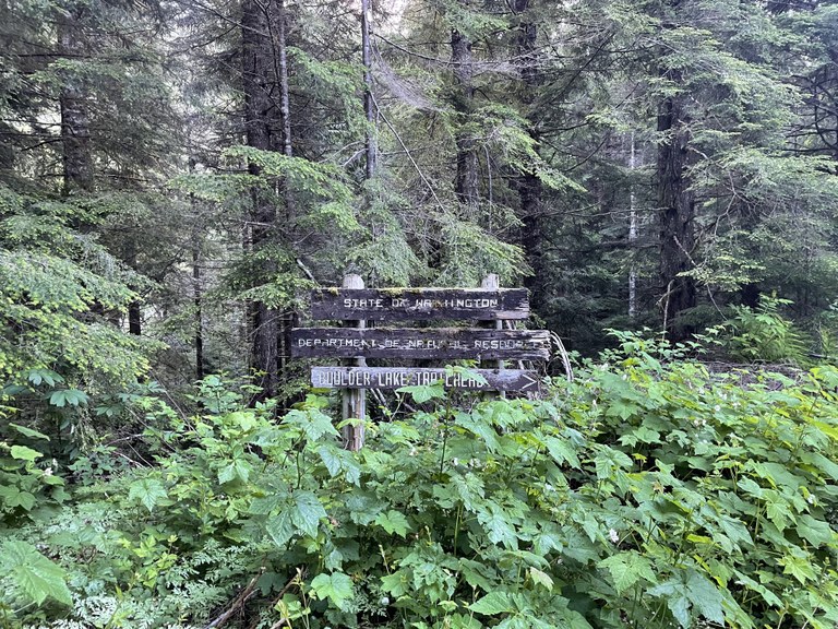 A decrepit Washington DNR sign.