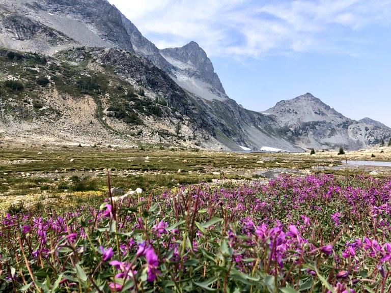 The beautiful views reachable by the Entiat River Trail.