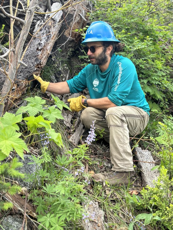 LTF crew leader Zack is eager for work in the Gothic Basin and Naches Ranger District. Photo by Zachary Sklar A crewmember crouches on trail to inspect his work.