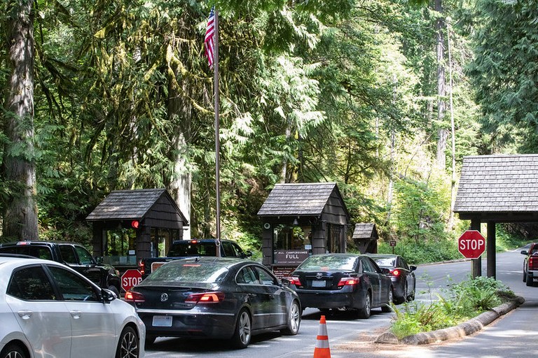 cars at mount rainier_mrnp.jpg