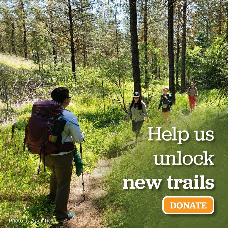 Four hikers walk on a forest trail. Help us unlock new trails. Donate to Washington Trails Association..